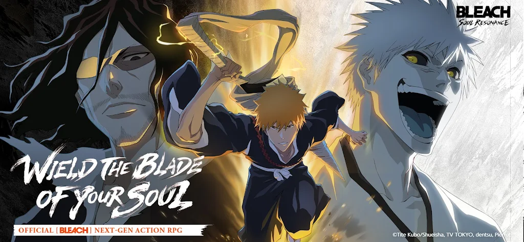 BLEACH: Soul Resonance