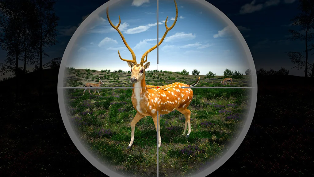 Bow Hunter 3D – Wild Deer Hunt