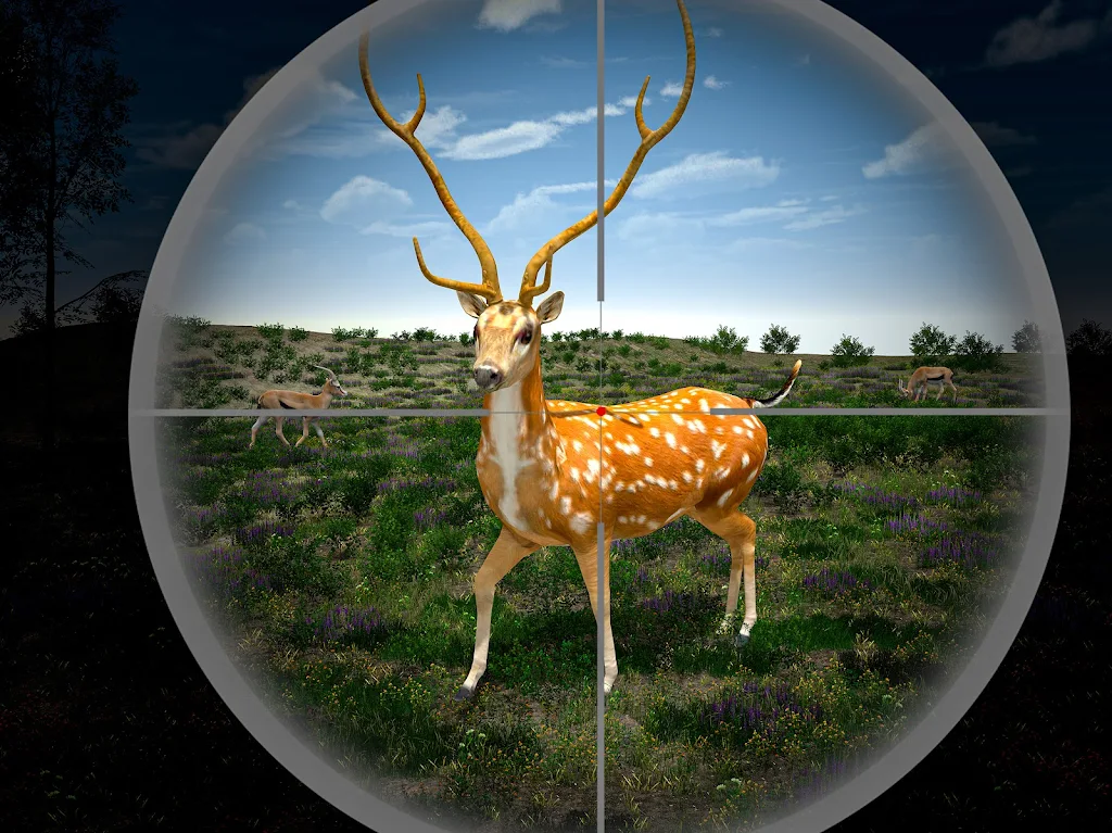 Bow Hunter 3D – Wild Deer Hunt