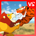 Lion Fights Tiger