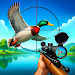Bird Hunter Sniper Shooter